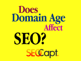 Is Domain Age a Factor in Ranking a Website?
